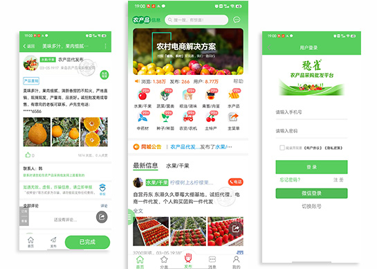 应用预览